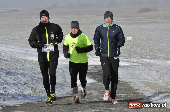 Zdjęcie w galerii na portalu naszraciborz.pl: III Bieg Nadodrzański. Mróz niestraszny biegaczom. Złoto dla Łukasza Skwareckiego  wiadomości z regionu
