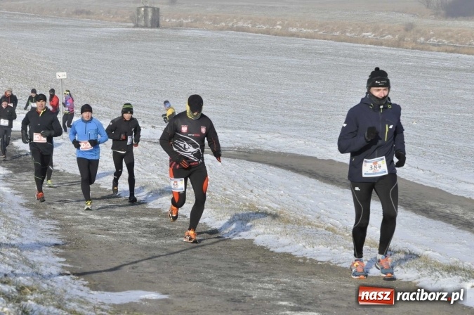 Zdjęcie w galerii na portalu naszraciborz.pl: III Bieg Nadodrzański. Mróz niestraszny biegaczom. Złoto dla Łukasza Skwareckiego  wiadomości z regionu