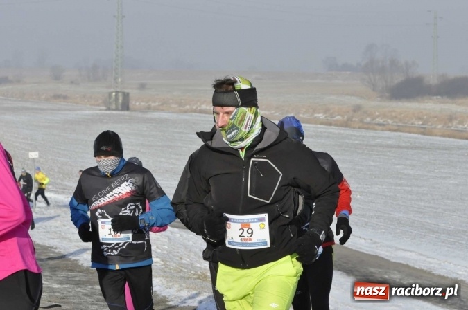 Zdjęcie w galerii na portalu naszraciborz.pl: III Bieg Nadodrzański. Mróz niestraszny biegaczom. Złoto dla Łukasza Skwareckiego  wiadomości z regionu