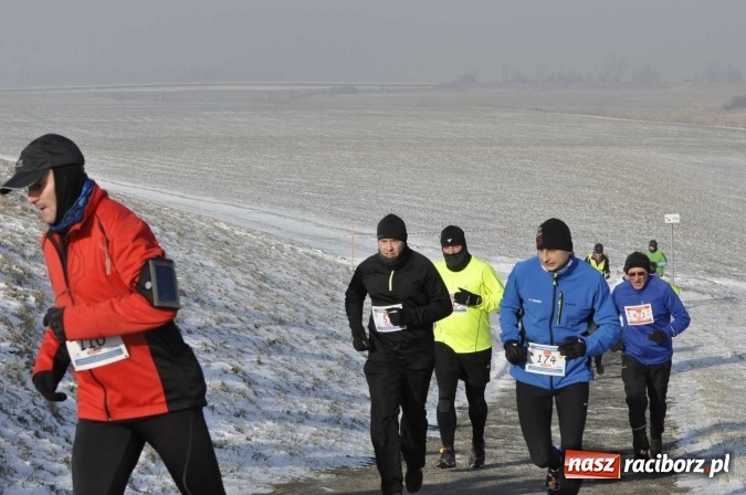 Zdjęcie w galerii na portalu naszraciborz.pl: III Bieg Nadodrzański. Mróz niestraszny biegaczom. Złoto dla Łukasza Skwareckiego  wiadomości z regionu