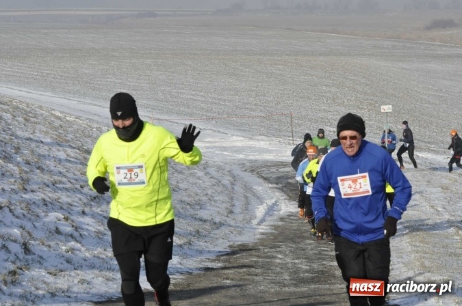 Zdjęcie w galerii na portalu naszraciborz.pl: III Bieg Nadodrzański. Mróz niestraszny biegaczom. Złoto dla Łukasza Skwareckiego  wiadomości z regionu