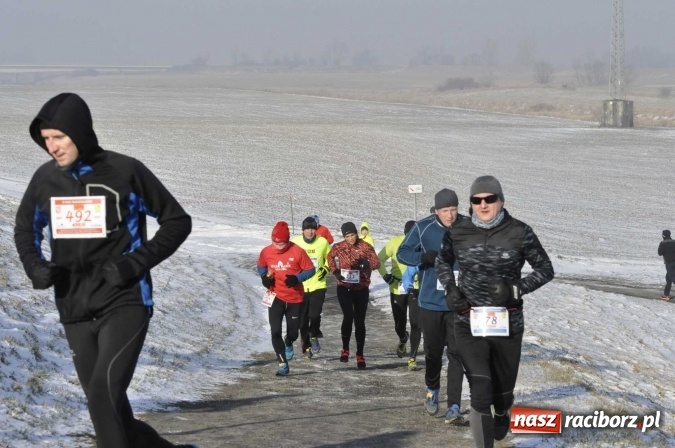 Zdjęcie w galerii na portalu naszraciborz.pl: III Bieg Nadodrzański. Mróz niestraszny biegaczom. Złoto dla Łukasza Skwareckiego  wiadomości z regionu