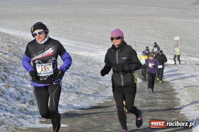 Zdjęcie w galerii na portalu naszraciborz.pl: III Bieg Nadodrzański. Mróz niestraszny biegaczom. Złoto dla Łukasza Skwareckiego  wiadomości z regionu