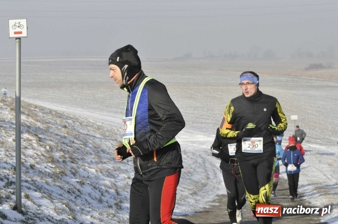 Zdjęcie w galerii na portalu naszraciborz.pl: III Bieg Nadodrzański. Mróz niestraszny biegaczom. Złoto dla Łukasza Skwareckiego  wiadomości z regionu