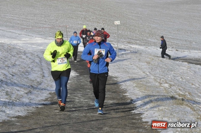 Zdjęcie w galerii na portalu naszraciborz.pl: III Bieg Nadodrzański. Mróz niestraszny biegaczom. Złoto dla Łukasza Skwareckiego  wiadomości z regionu
