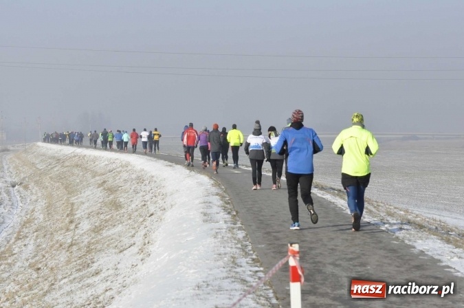 Zdjęcie w galerii na portalu naszraciborz.pl: III Bieg Nadodrzański. Mróz niestraszny biegaczom. Złoto dla Łukasza Skwareckiego  wiadomości z regionu
