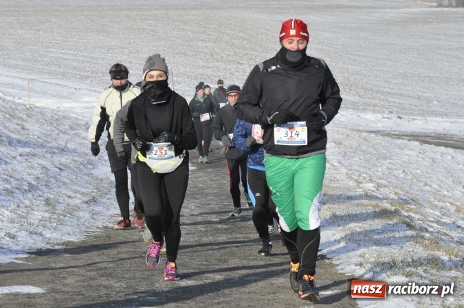 Zdjęcie w galerii na portalu naszraciborz.pl: III Bieg Nadodrzański. Mróz niestraszny biegaczom. Złoto dla Łukasza Skwareckiego  wiadomości z regionu