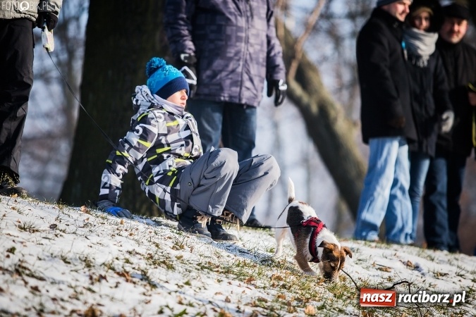Zdjęcie w galerii na portalu naszraciborz.pl: III Bieg Nadodrzański za nami. Sprawdź oficjalne wyniki wiadomości z regionu