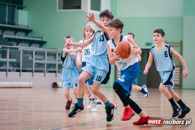 Zdjęcie w galerii na portalu naszraciborz.pl: Zmagania młodych koszykarzy Ofensywy w Arenie Rafako wiadomości z regionu