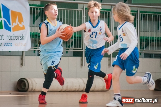 Zdjęcie w galerii na portalu naszraciborz.pl: Zmagania młodych koszykarzy Ofensywy w Arenie Rafako wiadomości z regionu