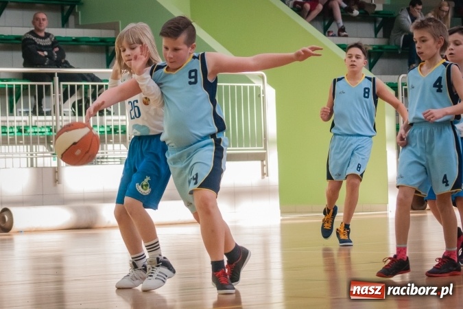 Zdjęcie w galerii na portalu naszraciborz.pl: Zmagania młodych koszykarzy Ofensywy w Arenie Rafako wiadomości z regionu