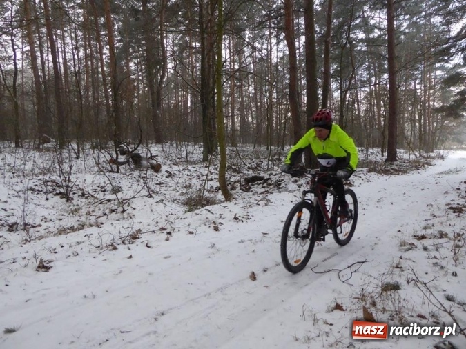 Zdjęcie w galerii na portalu naszraciborz.pl: Mroźno i śnieżnie, ale pobiegli. V Duathlon o Puchar Wójta Gminy Nędza wiadomości z regionu