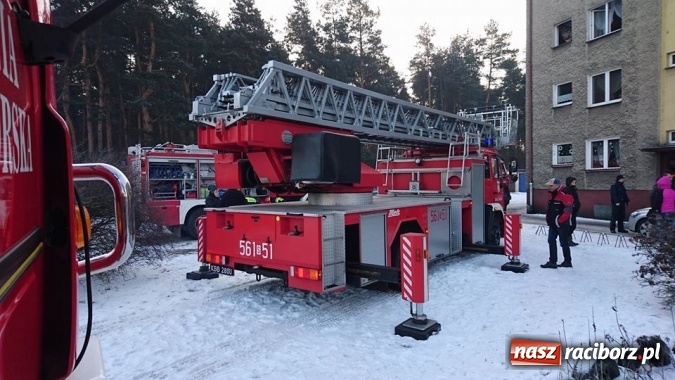Zdjęcie w galerii na portalu naszraciborz.pl: Tragedia w Kuźni Raciborskiej. Znana jest prawdopodobna przyczyna wiadomości z regionu