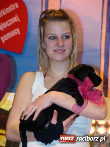 Zdjęcie w galerii na portalu naszraciborz.pl: 12 tysięcy z Kuźni dla WOŚP  wiadomości z regionu