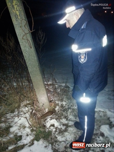 Zdjęcie w galerii na portalu naszraciborz.pl: Wczoraj przy Kwiatowej znaleziono niewybuchy wiadomości z regionu