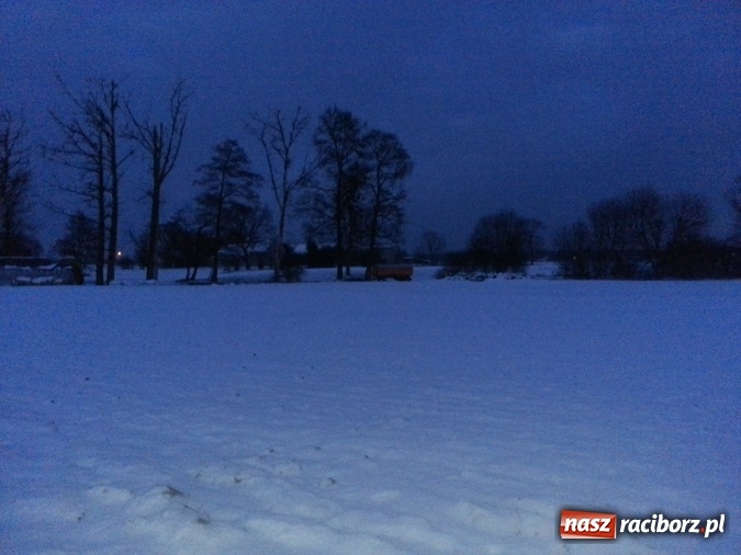 Zdjęcie w galerii na portalu naszraciborz.pl: Smród w Rudzie. Zlikwidowany drób pozostawiono w wiosce na przyczepie  wiadomości z regionu