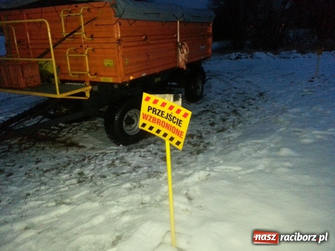 Zdjęcie w galerii na portalu naszraciborz.pl: Smród w Rudzie. Zlikwidowany drób pozostawiono w wiosce na przyczepie  wiadomości z regionu