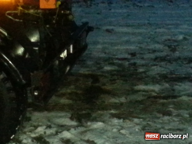 Zdjęcie w galerii na portalu naszraciborz.pl: Smród w Rudzie. Zlikwidowany drób pozostawiono w wiosce na przyczepie  wiadomości z regionu