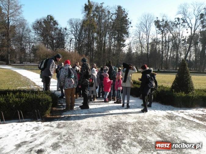 Zdjęcie w galerii na portalu naszraciborz.pl: Dzieci z Raciborskiego Centrum Kultury nie próżnują nawet w ferie!  wiadomości z regionu