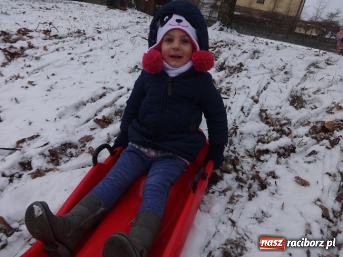 Zdjęcie w galerii na portalu naszraciborz.pl: Fiku-miku: po zabawach czas na przerwę zimową FOTO wiadomości z regionu