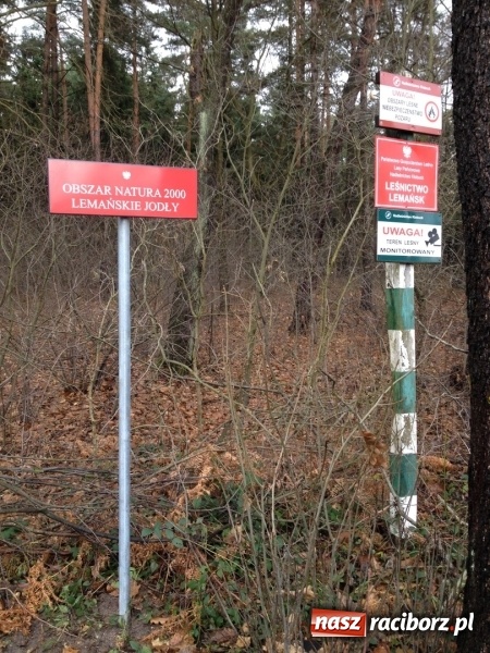 Zdjęcie w galerii na portalu naszraciborz.pl: Oznakowano kolejne obszary chronione w województwie śląskim  wiadomości z regionu