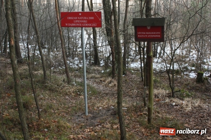 Zdjęcie w galerii na portalu naszraciborz.pl: Oznakowano kolejne obszary chronione w województwie śląskim  wiadomości z regionu