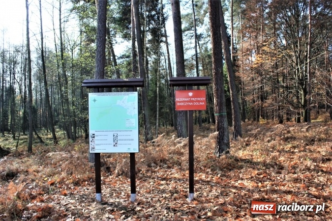 Zdjęcie w galerii na portalu naszraciborz.pl: Oznakowano kolejne obszary chronione w województwie śląskim  wiadomości z regionu