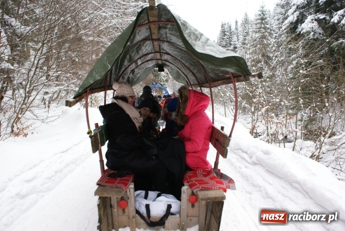 Zdjęcie w galerii na portalu naszraciborz.pl: Ferie z SM Nowoczesna - był kulig, wizyta w palmiarni i szaleństwo na trampolinach wiadomości z regionu