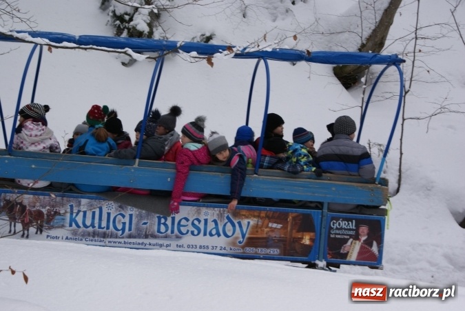 Zdjęcie w galerii na portalu naszraciborz.pl: Ferie z SM Nowoczesna - był kulig, wizyta w palmiarni i szaleństwo na trampolinach wiadomości z regionu