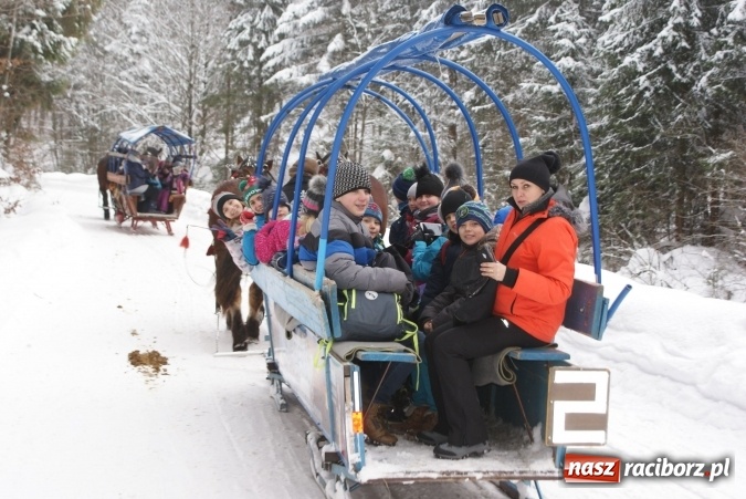 Zdjęcie w galerii na portalu naszraciborz.pl: Ferie z SM Nowoczesna - był kulig, wizyta w palmiarni i szaleństwo na trampolinach wiadomości z regionu