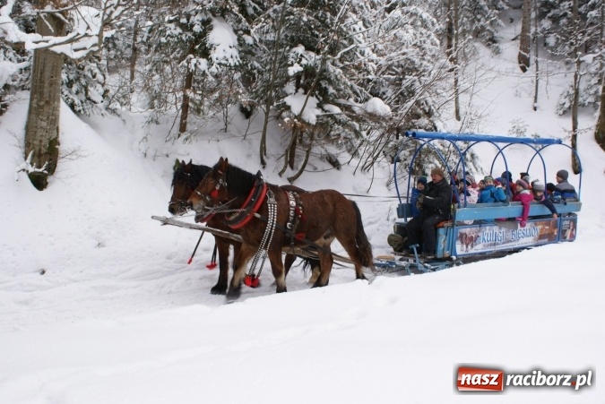Zdjęcie w galerii na portalu naszraciborz.pl: Ferie z SM Nowoczesna - był kulig, wizyta w palmiarni i szaleństwo na trampolinach wiadomości z regionu