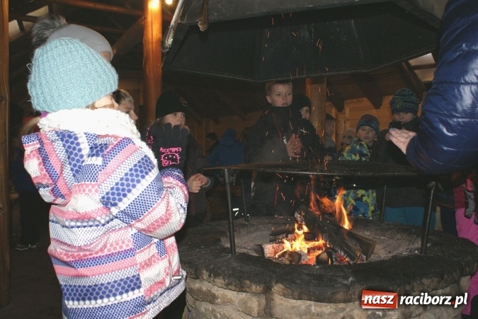 Zdjęcie w galerii na portalu naszraciborz.pl: Ferie z SM Nowoczesna - był kulig, wizyta w palmiarni i szaleństwo na trampolinach wiadomości z regionu