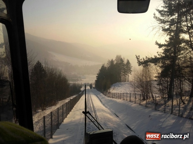 Zdjęcie w galerii na portalu naszraciborz.pl: Bolek i Lolek, angielska zima oraz miasto z plasteliny, czyli intensywne ferie w GCK w Nędzy  wiadomości z regionu