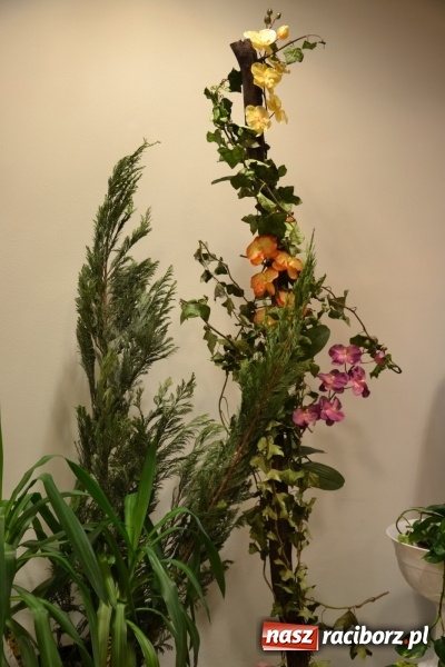 Zdjęcie w galerii na portalu naszraciborz.pl: Śródziemnomorska muzyka, przepiękne stroje i dekoracje, czyli Grecki raj na Zamku Piastowskim  wiadomości z regionu