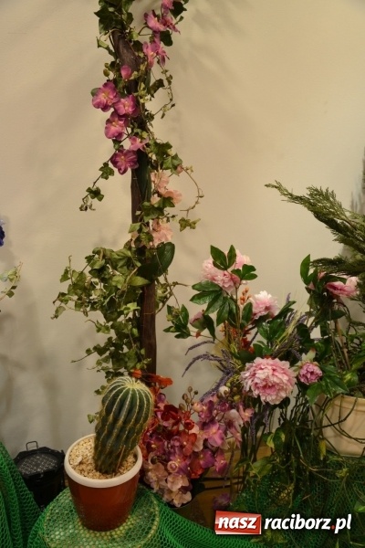 Zdjęcie w galerii na portalu naszraciborz.pl: Śródziemnomorska muzyka, przepiękne stroje i dekoracje, czyli Grecki raj na Zamku Piastowskim  wiadomości z regionu