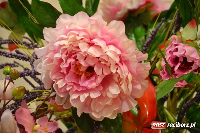 Zdjęcie w galerii na portalu naszraciborz.pl: Śródziemnomorska muzyka, przepiękne stroje i dekoracje, czyli Grecki raj na Zamku Piastowskim  wiadomości z regionu