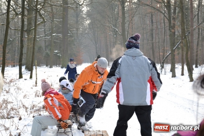 Zdjęcie w galerii na portalu naszraciborz.pl: Drugi kulig integracyjny z pewnością nie był ostatnim! wiadomości z regionu
