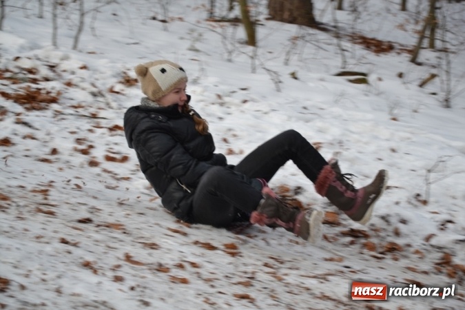 Zdjęcie w galerii na portalu naszraciborz.pl: Drugi kulig integracyjny z pewnością nie był ostatnim! wiadomości z regionu
