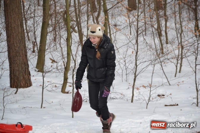 Zdjęcie w galerii na portalu naszraciborz.pl: Drugi kulig integracyjny z pewnością nie był ostatnim! wiadomości z regionu