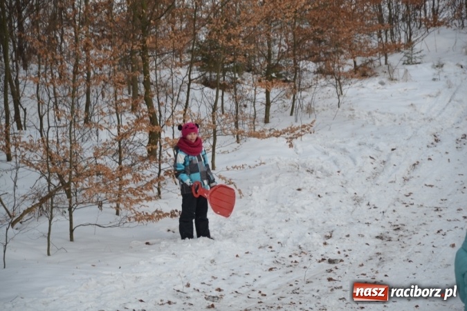 Zdjęcie w galerii na portalu naszraciborz.pl: Drugi kulig integracyjny z pewnością nie był ostatnim! wiadomości z regionu