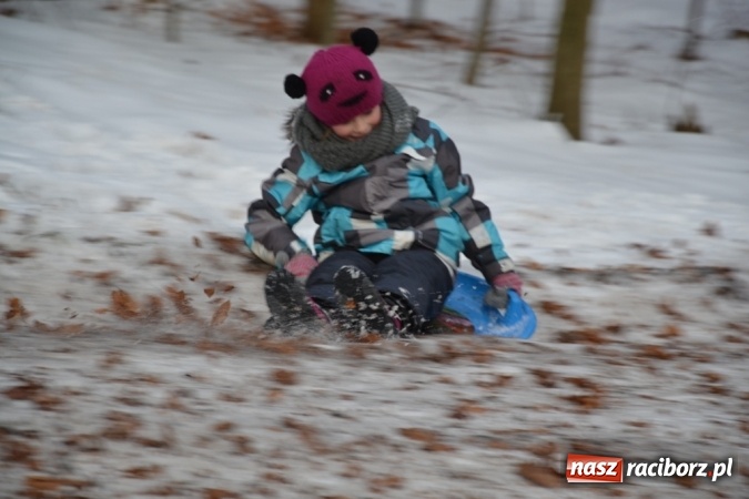 Zdjęcie w galerii na portalu naszraciborz.pl: Drugi kulig integracyjny z pewnością nie był ostatnim! wiadomości z regionu