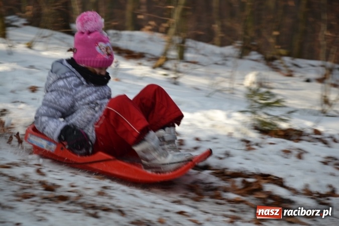 Zdjęcie w galerii na portalu naszraciborz.pl: Drugi kulig integracyjny z pewnością nie był ostatnim! wiadomości z regionu