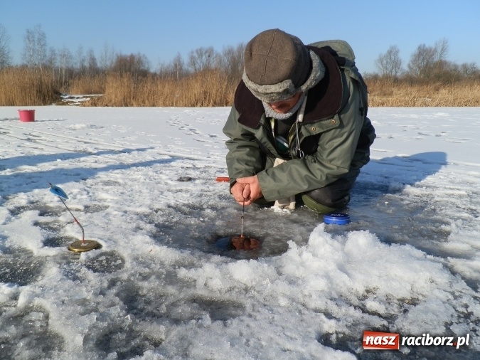 Zdjęcie w galerii na portalu naszraciborz.pl: Podlodowe otwarcie sezonu raciborskich wędkarzy wiadomości z regionu
