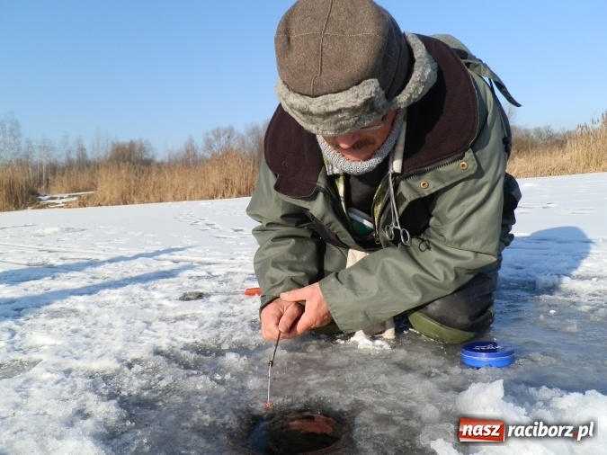 Zdjęcie w galerii na portalu naszraciborz.pl: Podlodowe otwarcie sezonu raciborskich wędkarzy wiadomości z regionu