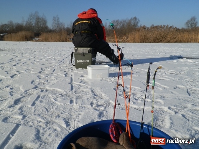 Zdjęcie w galerii na portalu naszraciborz.pl: Podlodowe otwarcie sezonu raciborskich wędkarzy wiadomości z regionu