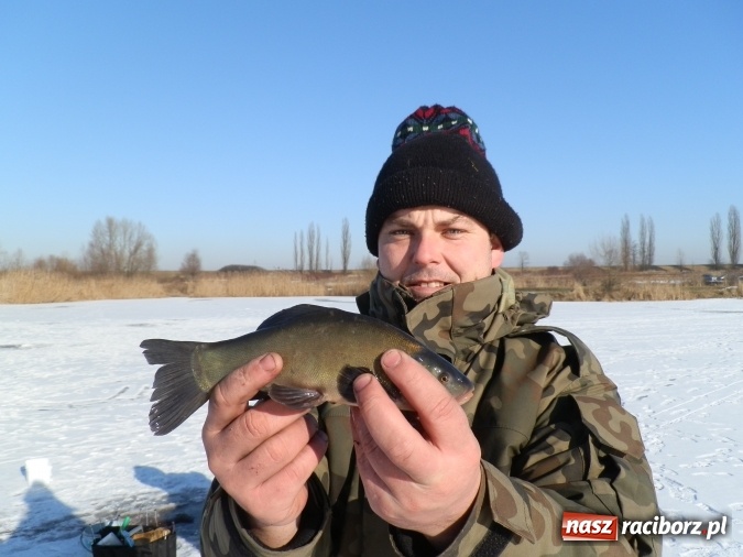 Zdjęcie w galerii na portalu naszraciborz.pl: Podlodowe otwarcie sezonu raciborskich wędkarzy wiadomości z regionu