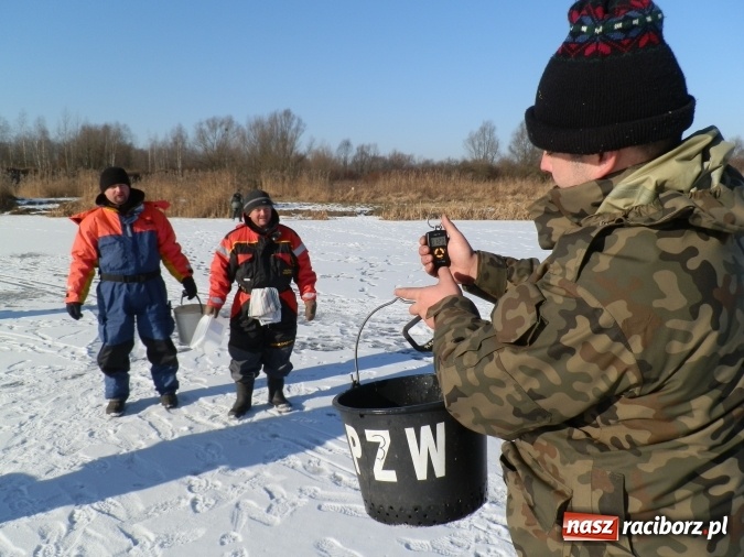 Zdjęcie w galerii na portalu naszraciborz.pl: Podlodowe otwarcie sezonu raciborskich wędkarzy wiadomości z regionu