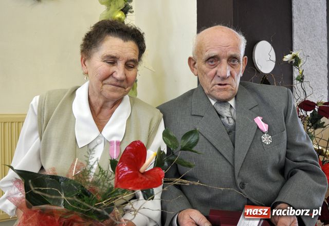 Zdjęcie w galerii na portalu naszraciborz.pl: Prawdziwą miłość poznaje się nie po... wiadomości z regionu