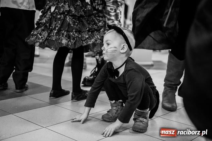 Zdjęcie w galerii na portalu naszraciborz.pl: Wielki bal karnawałowy w Pietrowicach Wielkich wiadomości z regionu