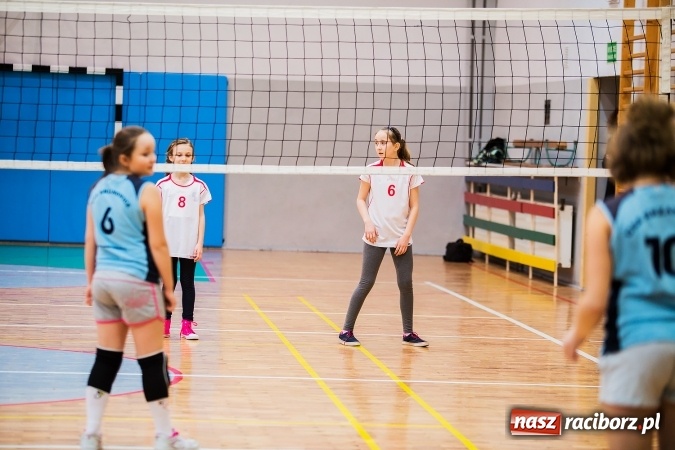 Zdjęcie w galerii na portalu naszraciborz.pl: Turniej dwójek siatkarskich w raciborskim Międzyszkolnym Ośrodku Sportowym wiadomości z regionu